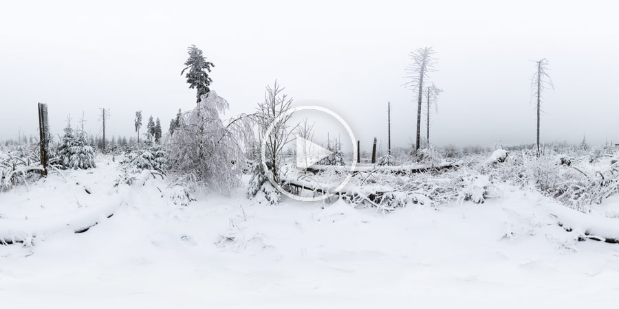 Kyrill-Pfad im Winter
